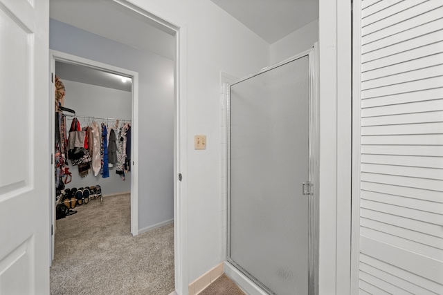 bathroom featuring a shower with door