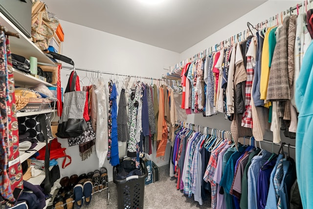 walk in closet with carpet floors