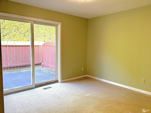 spare room featuring carpet flooring, plenty of natural light, and a textured ceiling