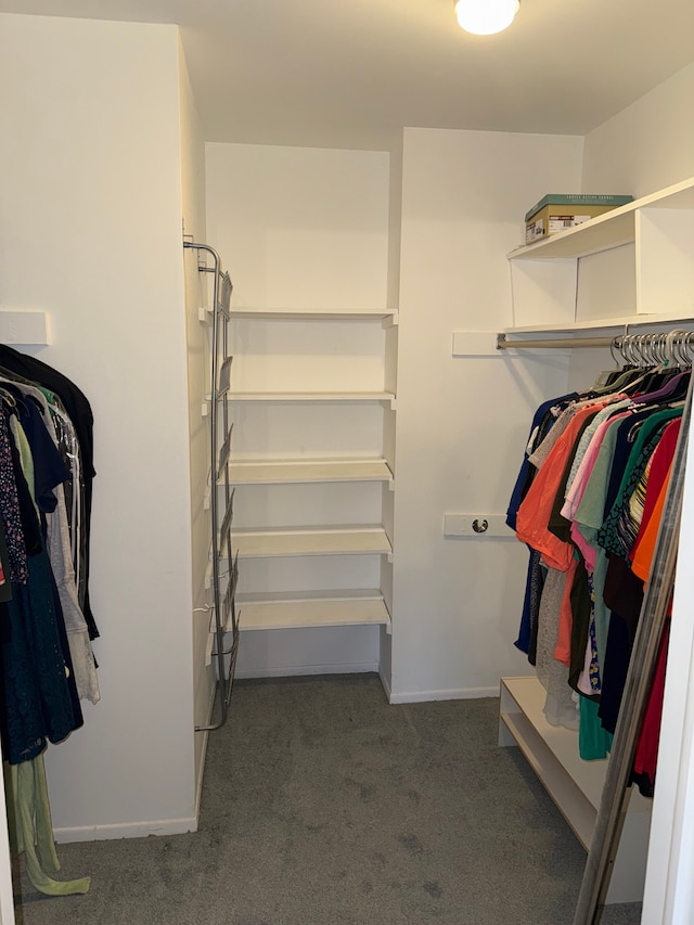 walk in closet with carpet floors