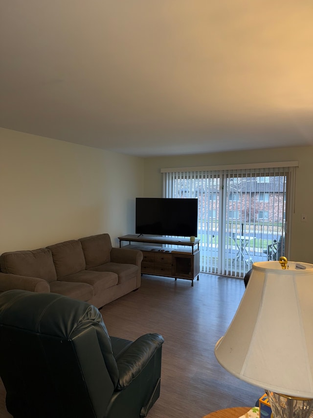 living room with dark hardwood / wood-style flooring