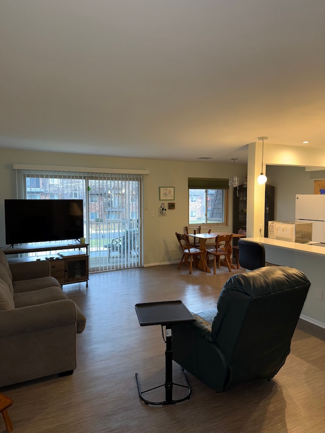 living room with wood-type flooring