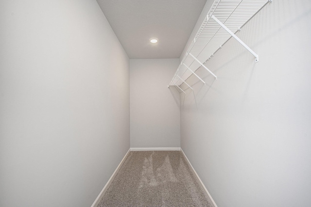 spacious closet with carpet flooring