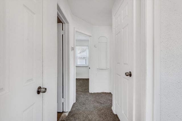 19723 Carrie St, Detroit, MI 48234 - hallway featuring dark colored carpet