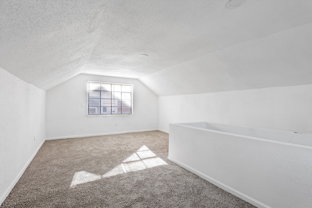 19723 Carrie St, Detroit, MI 48234 - bonus room with lofted ceiling, carpet floors, and a textured ceiling