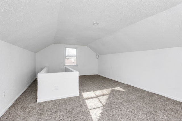 19723 Carrie St, Detroit, MI 48234 - bonus room with carpet, lofted ceiling, and a textured ceiling
