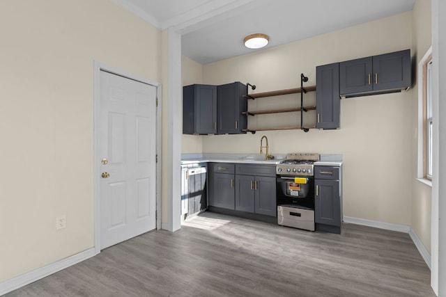 kitchen featuring gas range, light hardwood / wood-style flooring, gray cabinets, and sink