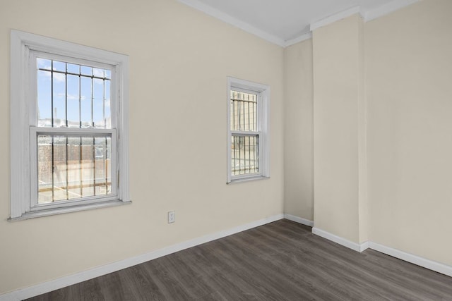 spare room with ornamental molding and dark wood-type flooring