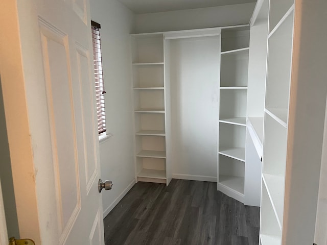 spacious closet with dark wood-type flooring