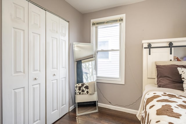 bedroom with a barn door, dark hardwood / wood-style floors, and a closet