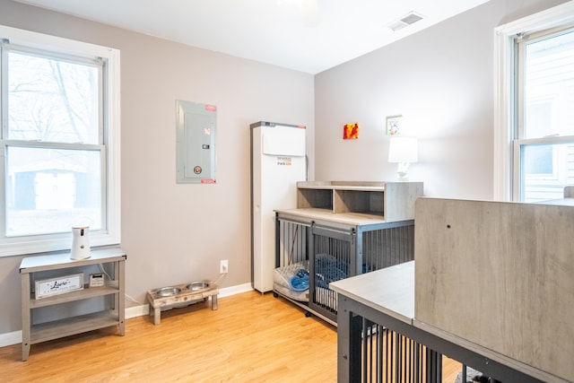 interior space with electric panel and light hardwood / wood-style floors