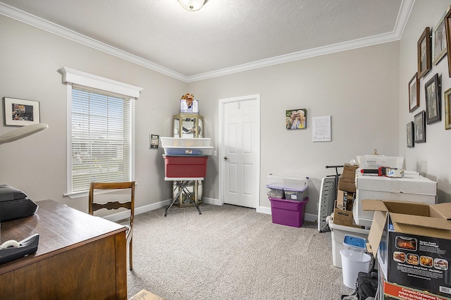 carpeted office space featuring a textured ceiling and crown molding