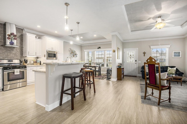 kitchen with white cabinetry, wall chimney range hood, a tray ceiling, a kitchen island with sink, and appliances with stainless steel finishes