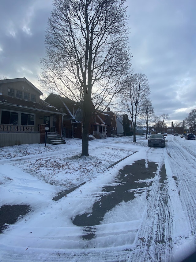 view of yard covered in snow