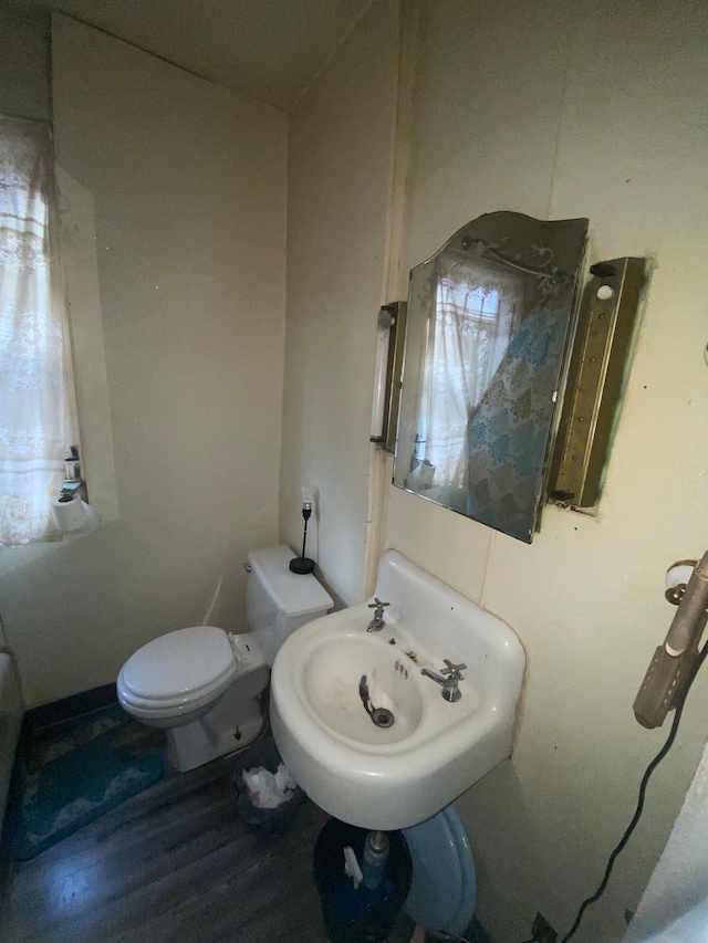 bathroom with wood-type flooring, toilet, and sink