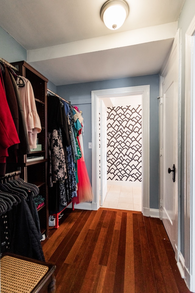 walk in closet with hardwood / wood-style floors