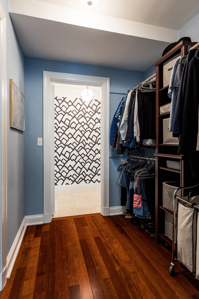 spacious closet featuring wood-type flooring