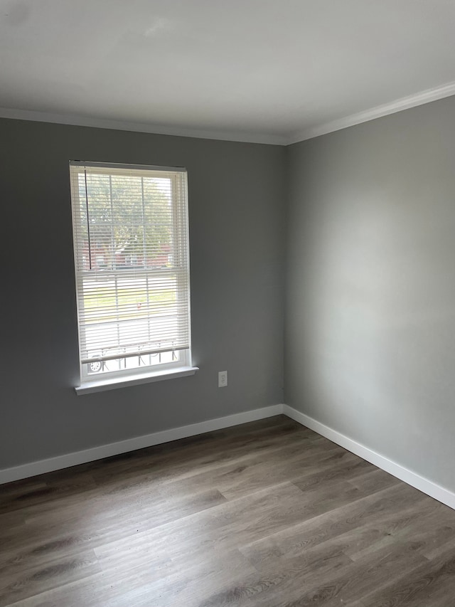spare room featuring hardwood / wood-style floors and crown molding