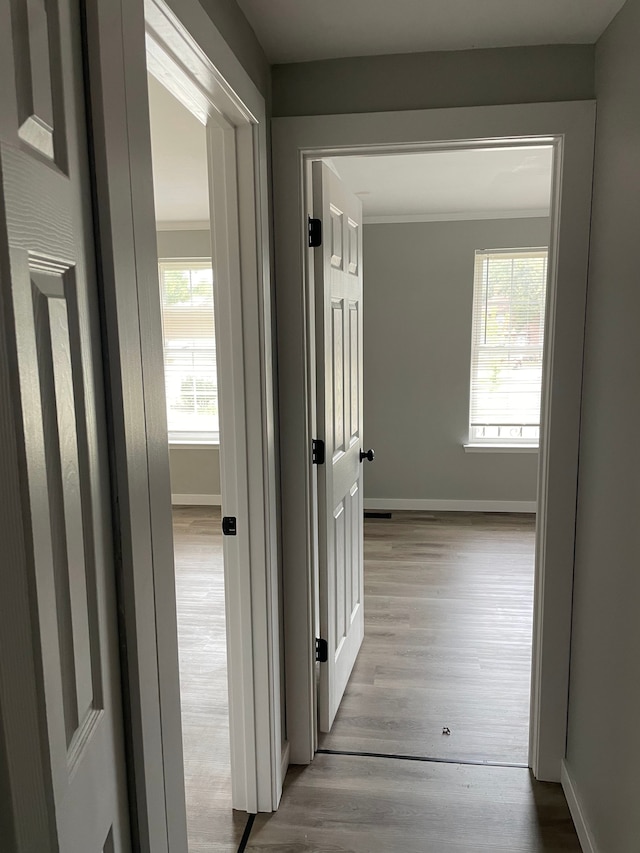corridor featuring light hardwood / wood-style floors and ornamental molding