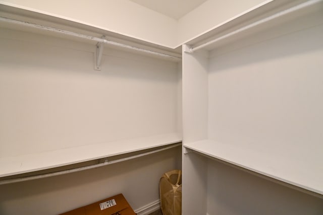 view of walk in closet