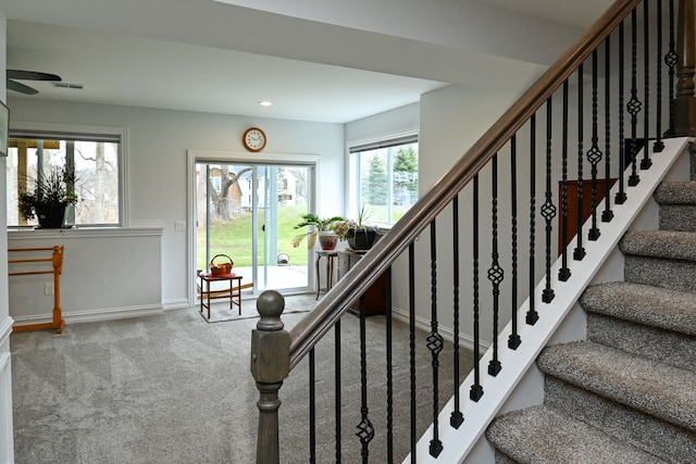 staircase with carpet