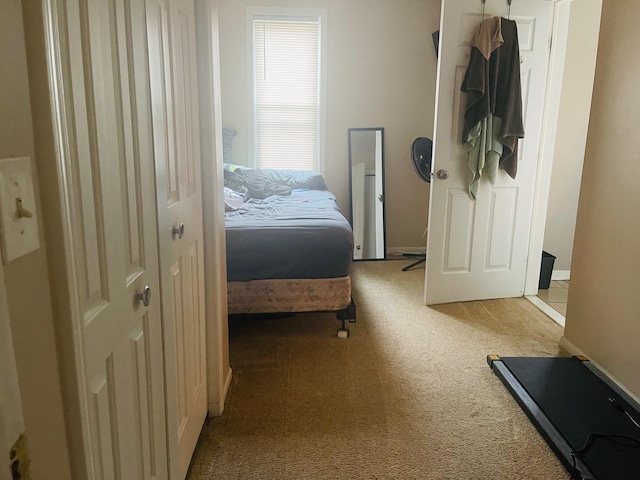 bedroom with light carpet