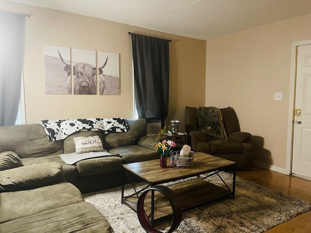 living room with hardwood / wood-style floors and a textured ceiling