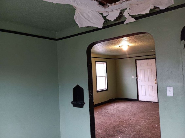 spare room featuring carpet flooring and a textured ceiling