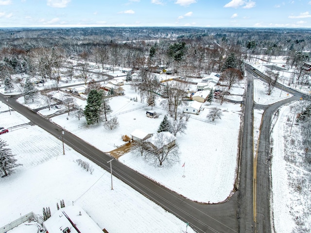 view of snowy aerial view