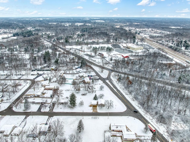 view of snowy aerial view