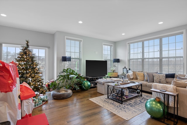 living room with dark hardwood / wood-style flooring