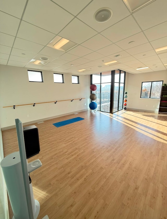 exercise area featuring a paneled ceiling, light hardwood / wood-style floors, and a wall of windows