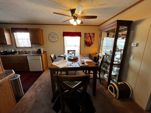 carpeted dining space with a textured ceiling, ceiling fan, ornamental molding, and sink