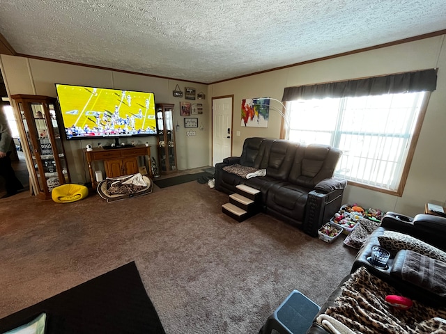 living room with a textured ceiling, carpet floors, and ornamental molding