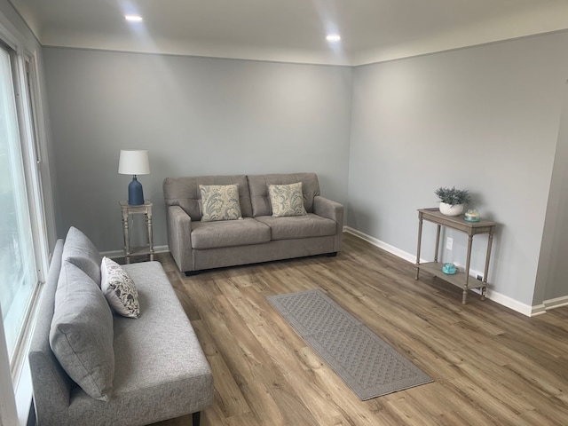 living room featuring hardwood / wood-style floors