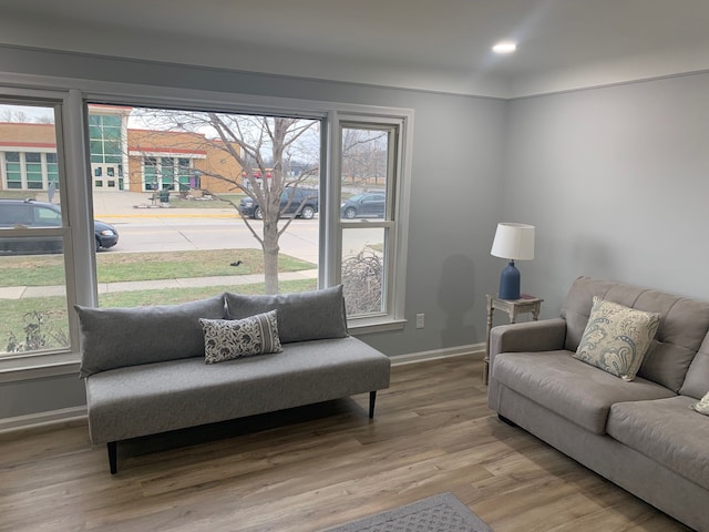 living room featuring hardwood / wood-style floors and plenty of natural light