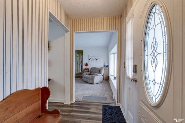 foyer with dark hardwood / wood-style flooring, a textured ceiling, and a healthy amount of sunlight