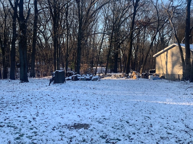 view of snowy yard