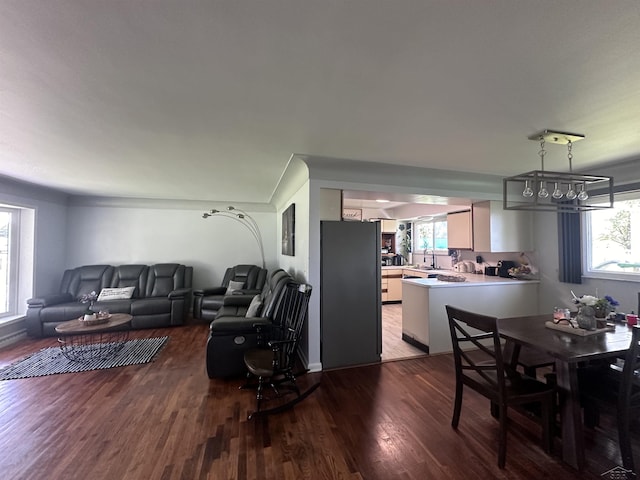 living room featuring dark hardwood / wood-style flooring and sink