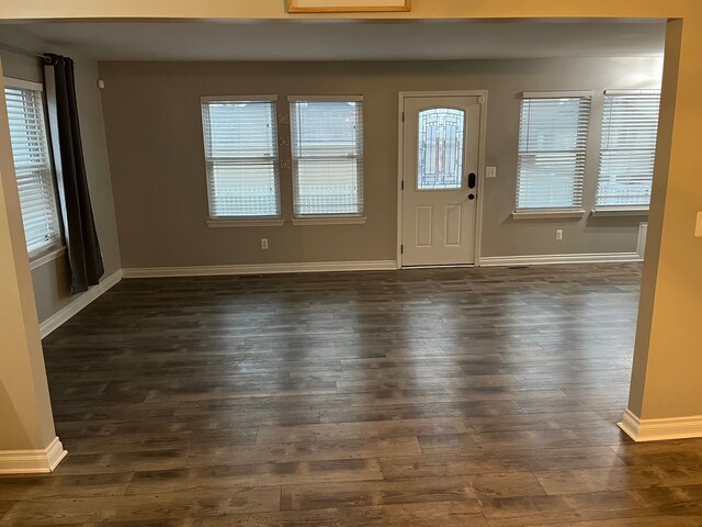 foyer featuring dark wood-type flooring