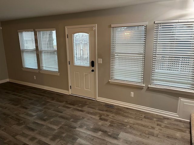 foyer with plenty of natural light and dark wood-type flooring