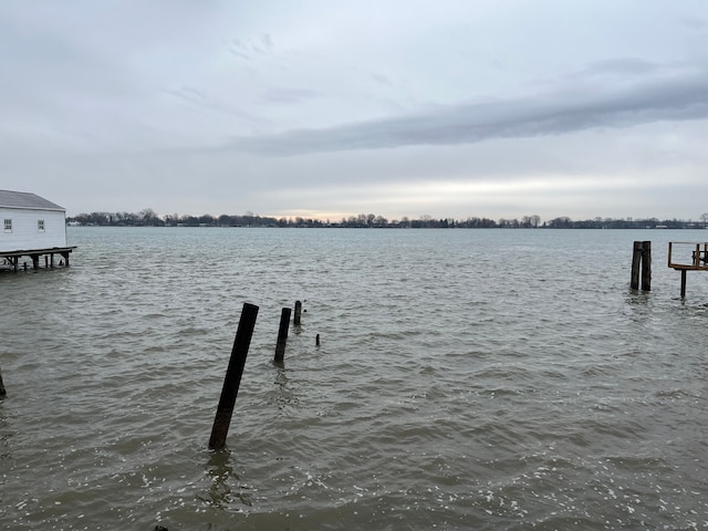 dock area with a water view