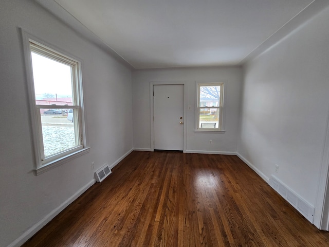 entrance foyer featuring dark hardwood / wood-style flooring and a healthy amount of sunlight