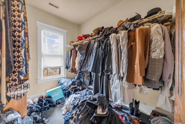 view of spacious closet