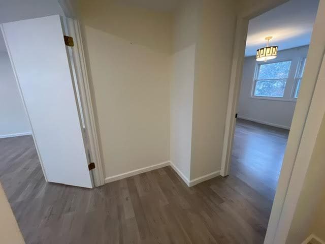 hallway featuring dark hardwood / wood-style floors