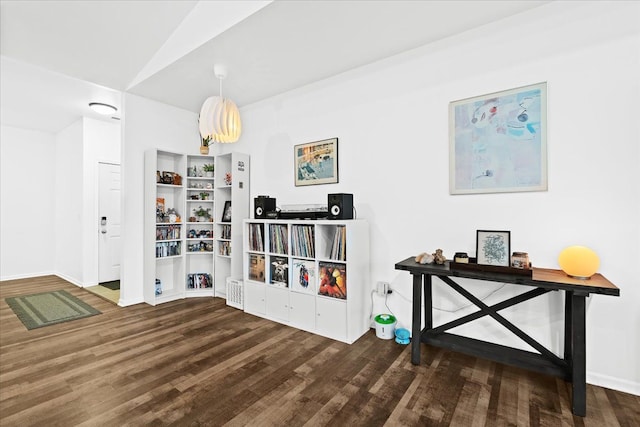 miscellaneous room featuring hardwood / wood-style floors and vaulted ceiling