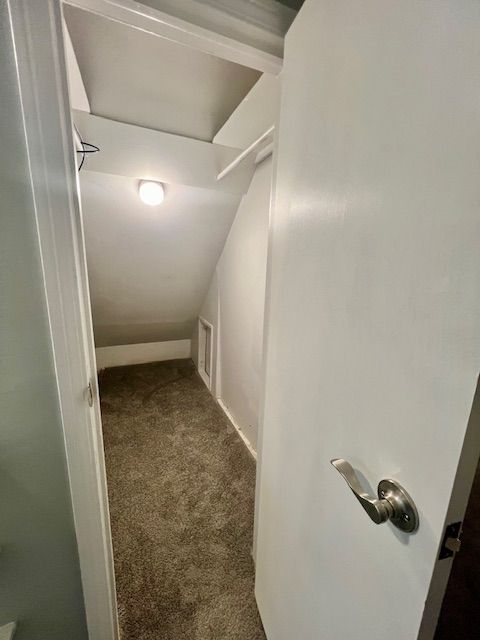 spacious closet featuring carpet