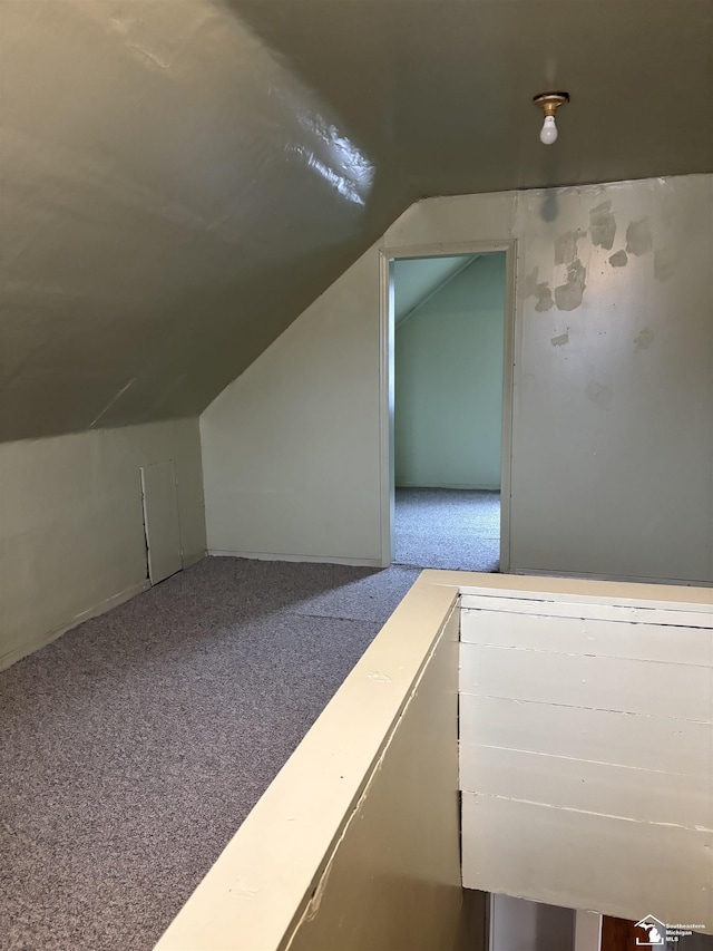 additional living space with carpet and vaulted ceiling