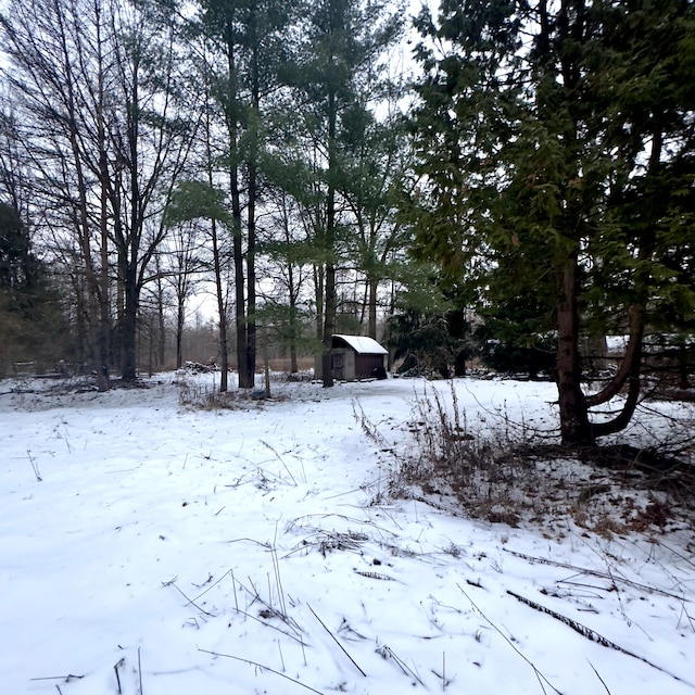 view of snowy yard