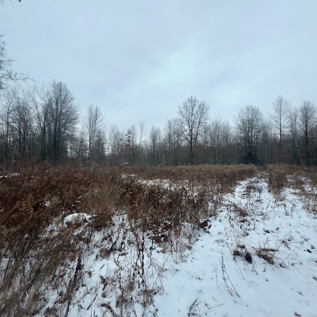 view of snow covered land